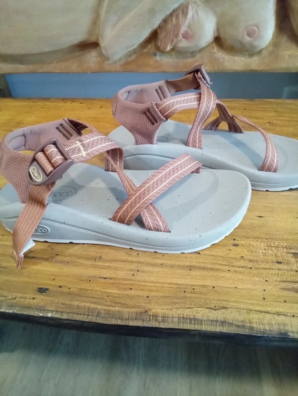 Chaco CushZ Toe-Loop Extra Cushioned Sandals Women's Sz 9 Frond Pink Salt